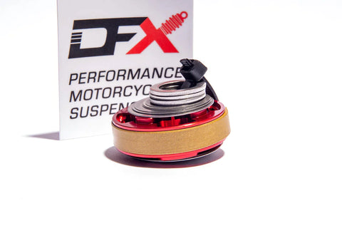 Kit de mise à niveau d'amortisseur DFX X Factor - SPKTBETARR