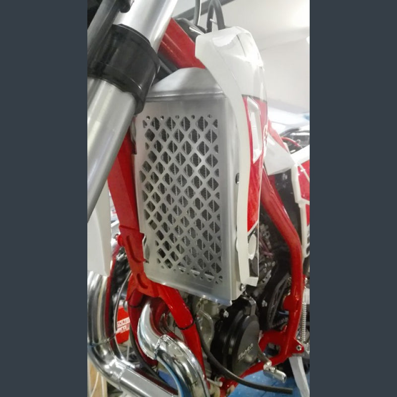P-Tech Rad Guards Beta P-Tech Rad Guards Beta