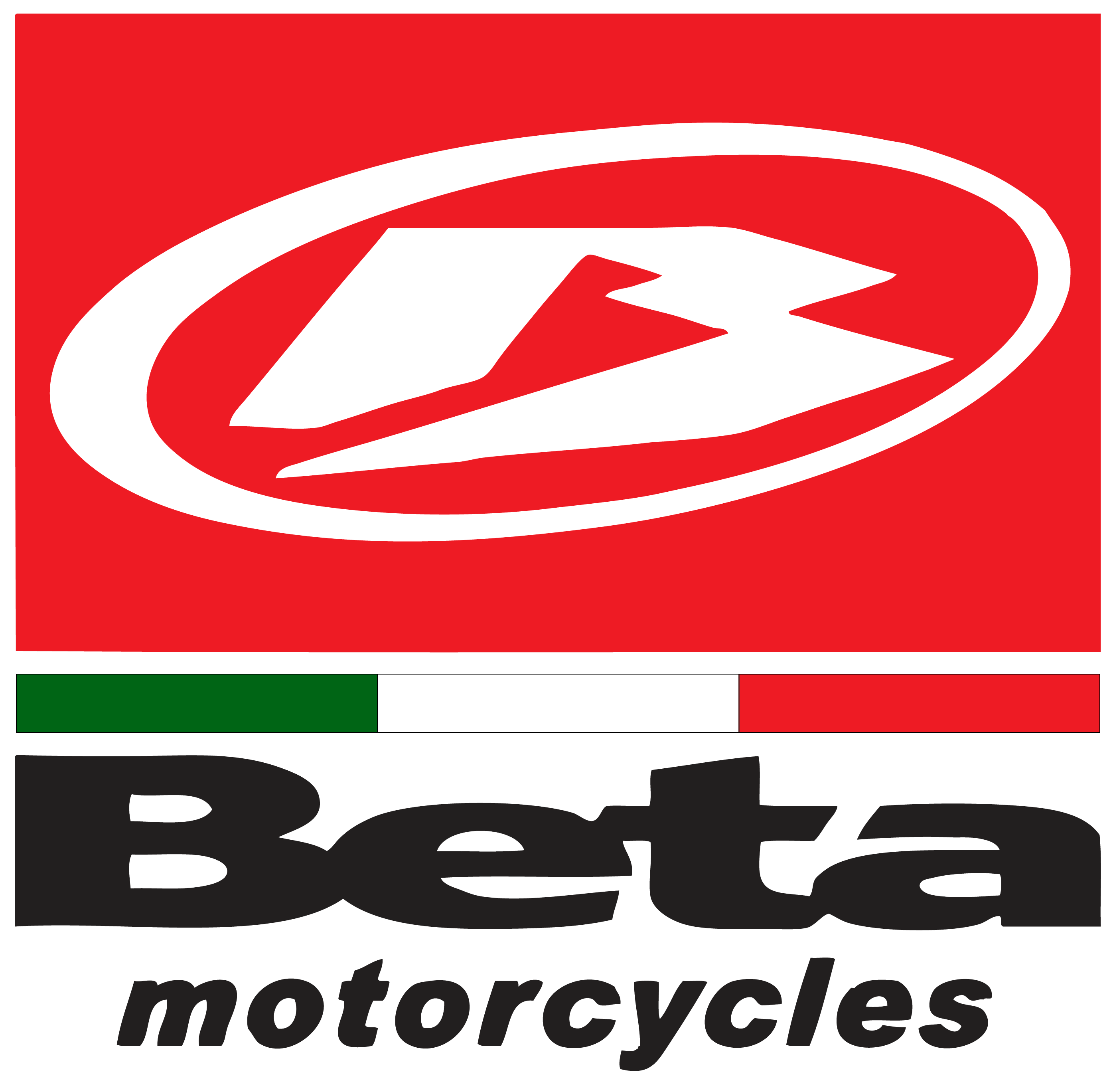BETA OEM - NOZI Needle BETA OEM - NOZI Needle