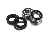 Factory Links Rear Wheel Bearing Kit