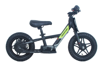 Thumpstar TSE12H-E3 MAX