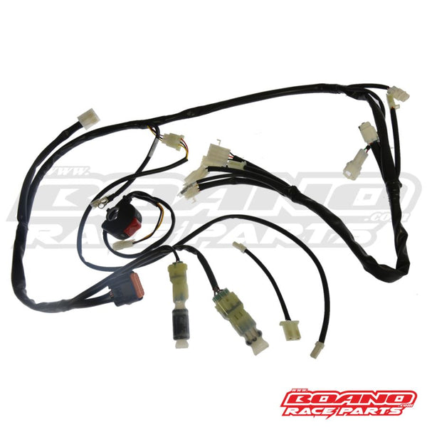 Beta OEM -  Race Wire Harness with Electric Starter MY20+ 2T & 4T