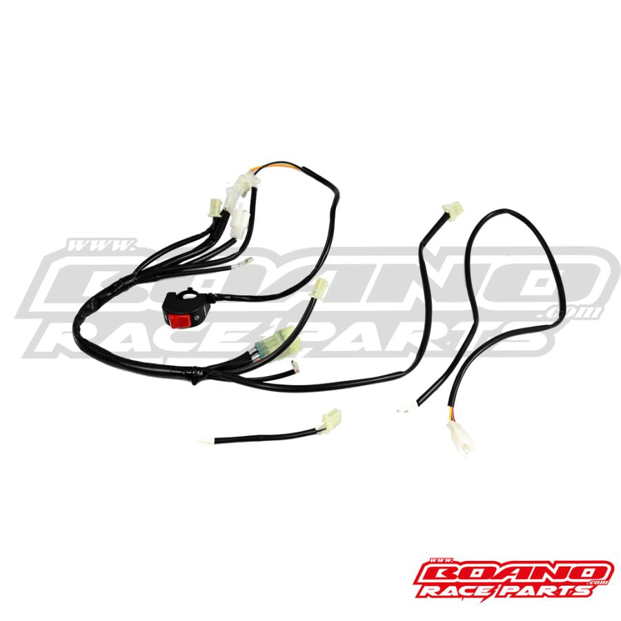 Beta OEM -  Race Wire Harness with Electric Starter MY20+ 2T & 4T