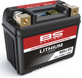 BS Lithium LiFePO4 Batteries